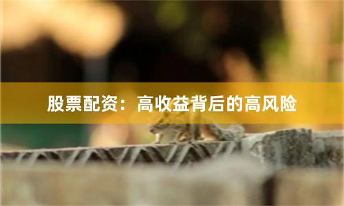 股票配资:高收益背后的高风险